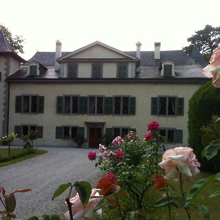 Chateau De Veigy Hotel Exterior foto